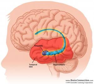 Javier Tirapu. Abordaje desde la neuropsicología del estrés postraumático Javier Tirapu. Abordaje desde la neuropsicología del estrés postraumático